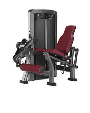 Los muscles d'extension de las cambas foncionavan